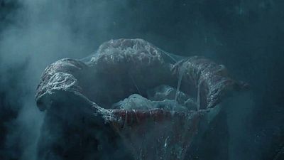 image de la news Alien sur Amazon : avec quoi ont été remplis les œufs de la créature ?