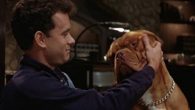 image de la news Disney+ : 7 films d'amitié avec les animaux pour toute la famille