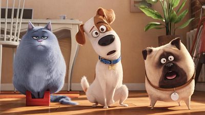 image de la news Comme des bêtes sur France 4 : combien de temps de travail nécessite l'animation d'un animal ?