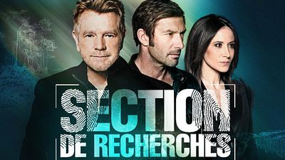 image de la news Section de recherches : la série de TF1 s'arrête après 14 saisons
