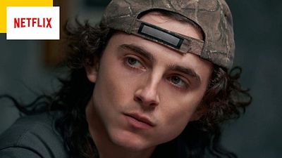 image de la news Festival Netflix : la plateforme dévoile le projet... et répond aux rumeurs