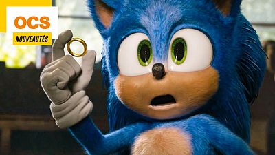 image de la news OCS : les films et séries à voir en novembre de HP saison 2 à Sonic