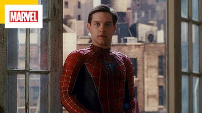 image de la news Un Spider-Man 4 avec Tobey Maguire : Sam Raimi est partant !
