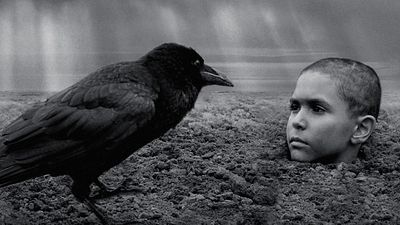 image de la news The Painted Bird sur FILMO : c’est quoi ce film choc primé à la Mostra de Venise 2019 avec Harvey Keitel ?