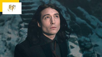 image de la news Ezra Miller : l'acteur des Animaux Fantastiques de nouveau arrêté pour agression