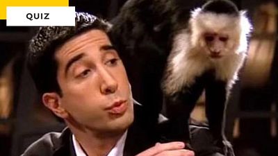 image de la news Quiz Netflix : dans quelles séries apparaissent ces animaux ?