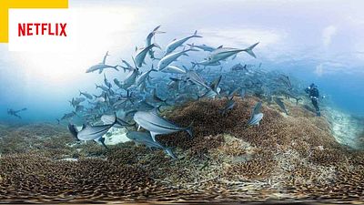 image de la news Netflix :  les ravages du réchauffement climatique dans un documentaire puissant et indispensable