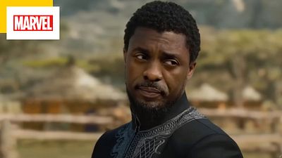 image de la news Black Panther : Idris Elba remplace Chadwick Boseman dans un incroyable deepfake