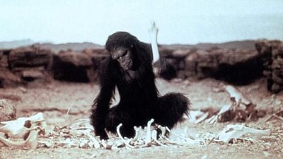 image de la news De Kubrick à Almodovar : 10 idées géniales de mises en scène