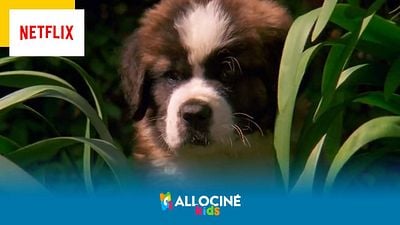 image de la news Netflix : un chien adorable et gaffeur dans un film pour toute la famille