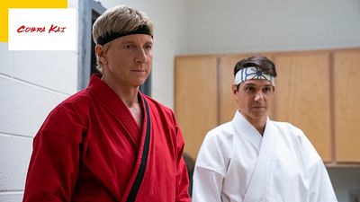 image de la news Cobra Kai sur Netflix : où revoir les films Karaté Kid ?