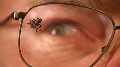 image de la news La meilleure série de tous les temps : selon les spectateurs, c'est elle !