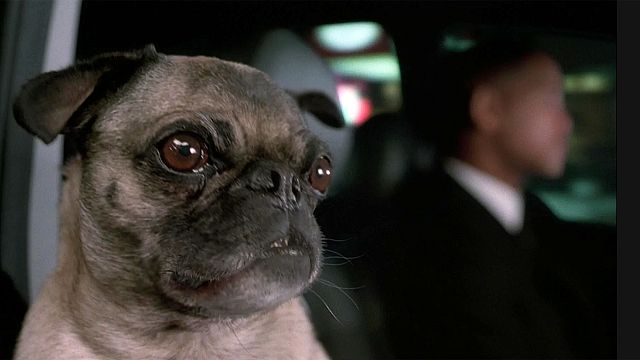 image de la news Ce soir à la télé : une suite meilleure que l'original ? La preuve avec cette pure comédie de science-fiction