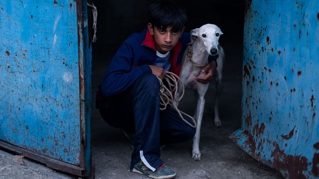 image de la news Ciudad sin sueño : le regard d’un enfant sur un monde qui s’efface