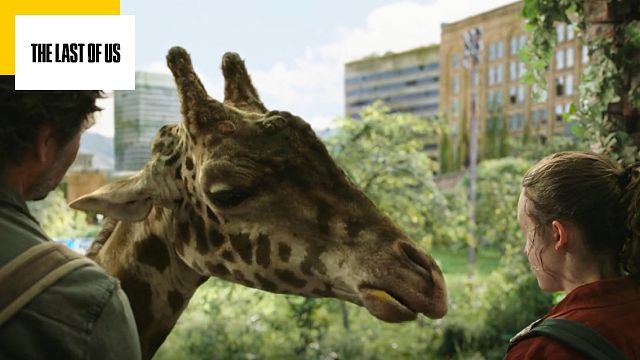 image de la news The Last of Us : la girafe de l'épisode 9 est-elle réelle ?