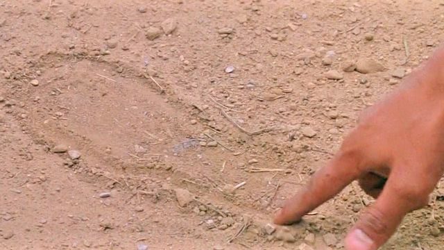 image de la news Le Dernier des Mohicans : Daniel Day-Lewis a appris à écorcher les animaux pour le film