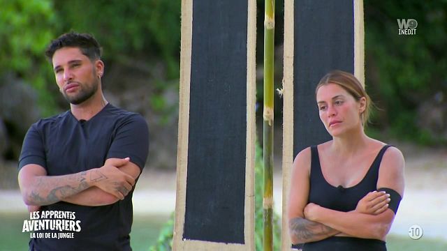 image de la news Rebondissement dans Les apprentis aventuriers, un candidat abandonne après s’être fait piquer par un scorpion