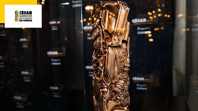 image de la news César 2023 : un Prix créé pour dénoncer l'absence de femmes en Meilleure réalisation