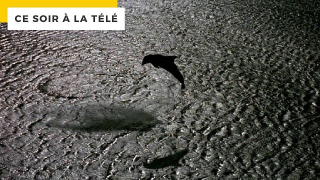 image de la news Ce soir à la télé : sifflé au Festival de Cannes mais applaudi par 9 millions de spectateurs, ce film est depuis devenu un classique