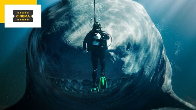 Vous avez aimé En eaux très troubles ? Voici les 3 meilleurs films de requins selon les spectateurs !