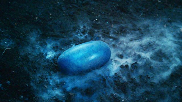 image de la news Ni Le Seigneur des Anneaux, ni Harry Potter... Il y a 20 ans, ce film devait lancer une grande saga fantastique mais il s'est soldé par un échec