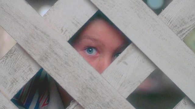 image de la news Ni Les Evadés, ni La Ligne verte... on sait enfin quel film Stephen King considère comme la meilleure adaptation d'un de ses romans !