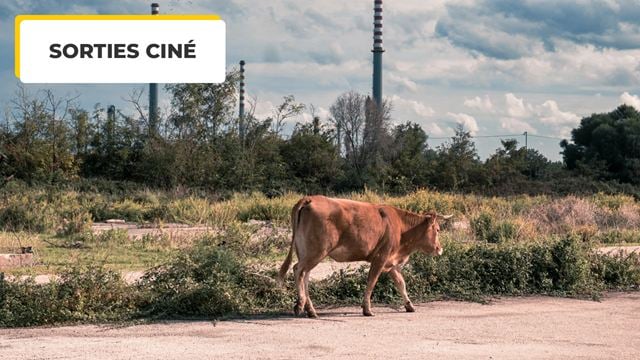 "On travaille comme des esclaves..." Un immense scandale sanitaire au coeur de l'un des meilleurs documentaire de l'année