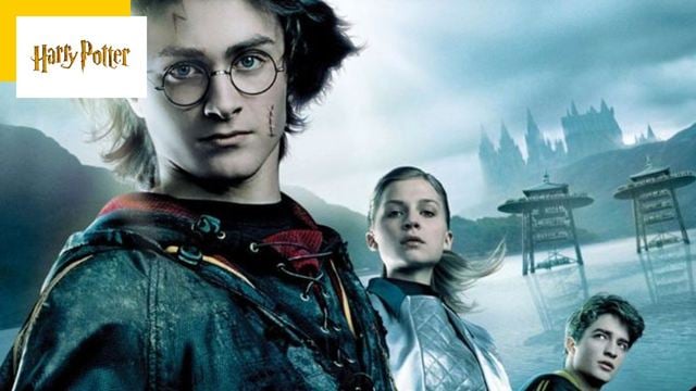 "Je le détestais" : dans Harry Potter, ce jeune acteur ne supportait pas son personnage