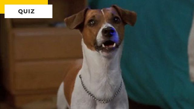 image de la news Quiz Cinéma : 9 films des années 90 à reconnaître !