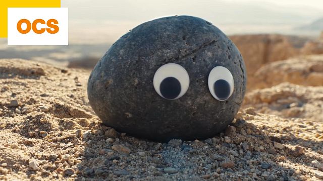 image de la news Le film qui pourrait tout rafler aux Oscars cette année est déjà dispo en streaming !