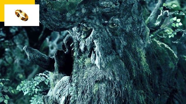 Le Seigneur des Anneaux : l'arbre qui parle a la voix d'un acteur bien connu de la saga et personne ne l'avait remarqué