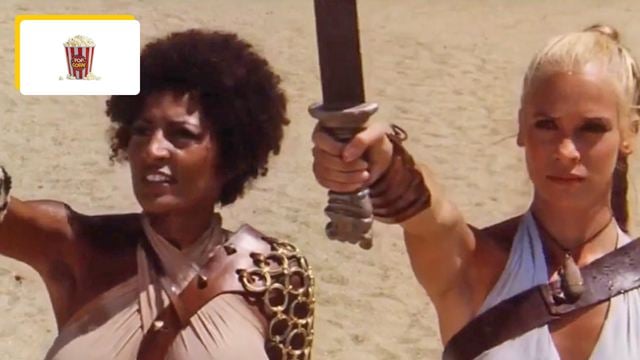 26 ans avant Gladiator, ce Spartacus au féminin a été un succès grâce à l'immense Pam Grier