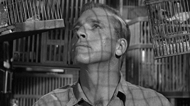 image de la news Ce soir sur Amazon : notée 4 sur 5, cette merveille absolue est l'un des plus grands rôles de Burt Lancaster