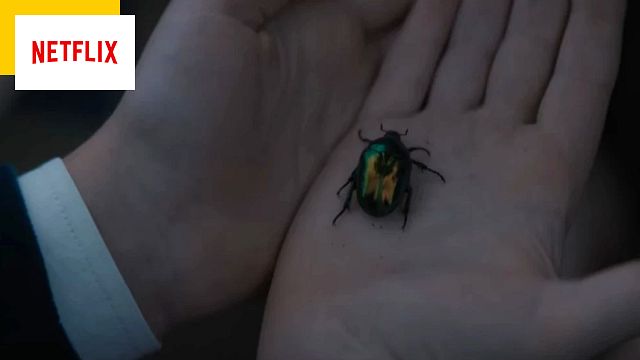 image de la news 1899 sur Netflix : c'est quoi cet insecte mystérieux ?