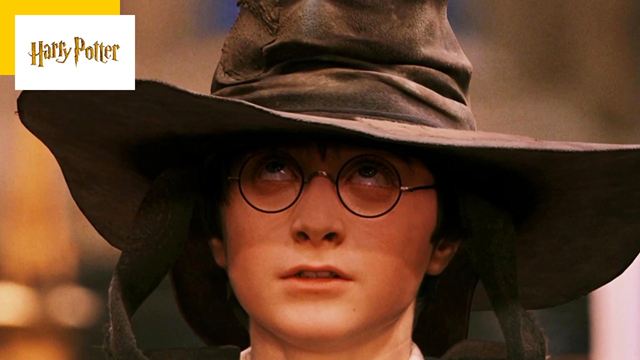 Harry Potter : vous avez peut-être choisi la maison Poufsouffle, mais savez-vous vraiment ce que veut dire ce nom ?