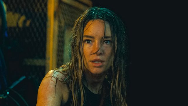 image de la news Le film de requins de l'été est enfin là ! Pourquoi Dangerous Animals va vous divertir au cinéma