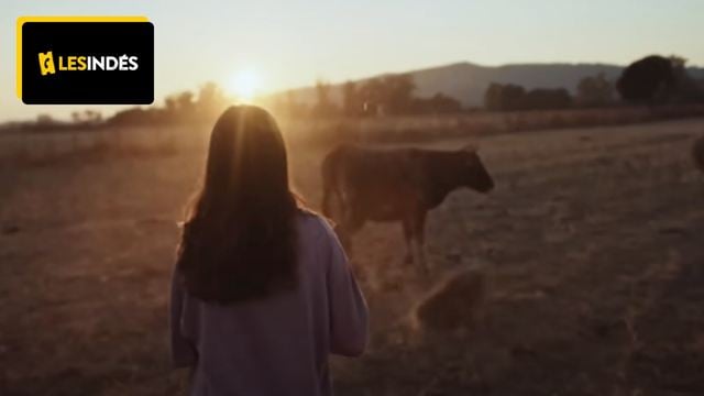 Le meilleur film de la semaine est "haletant et vibrant"