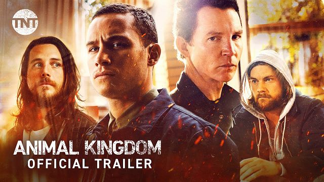 image de la news « Animal Kingdom », on choisit pas sa famille