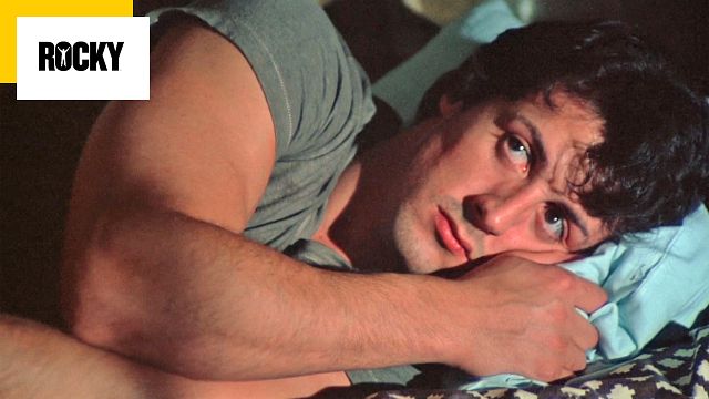 image de la news Rocky : ce sacrifice déchirant de Stallone pour survivre quand il n'avait pas un sou