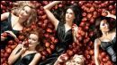 image de la news "Desperate Housewives" : clip promo de la saison 3