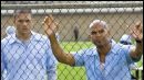 image de la news Audiences : "Une femme d'honneur" et "Prison Break"