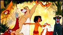 image de la news Mowgli de retour dans la jungle !