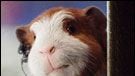 image de la news "G-Force" : la bande-annonce !