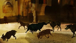 image de la news La Palme d'or du court-métrage mercredi sur Arte !