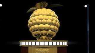 image de la news Razzies Awards 2011 : les nominations !