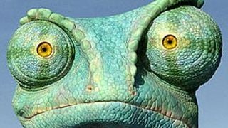 image de la news Box-office US : pas de lézard pour "Rango" !