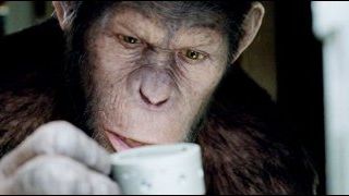 image de la news Les singes grimpent au sommet du box-office français !