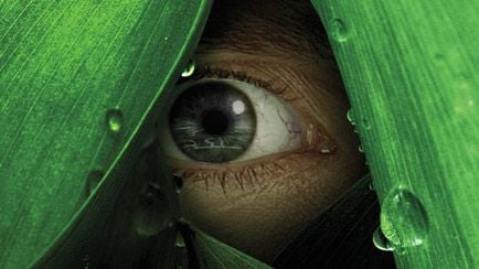 image de la news "The River" déjà disponible en France [VIDEO]