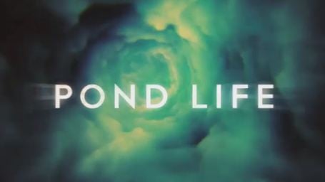 "Pond Life" : découvrez les 5 épisodes de la websérie dérivée de "Doctor Who" [VIDEOS]