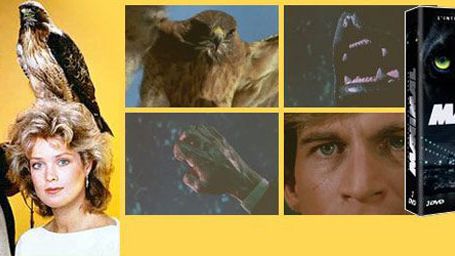 image de la news En DVD : "Manimal" l'intégrale ! [VIDEO]